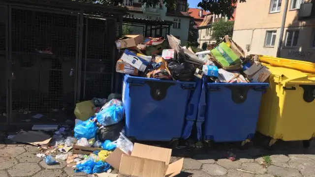 Co ze śmieciami w Poznaniu? Kluczowe informacje i zmiany w regulacjach