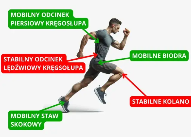 Bieganie to całe ciało: poznaj mięśnie, wzmocnij je i unikaj kontuzji