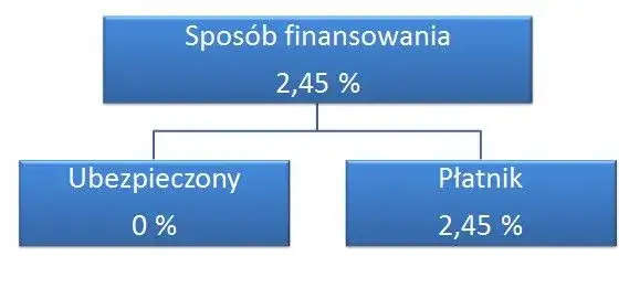 Kto płaci składkę na fundusz pracy? Zobacz ważne informacje