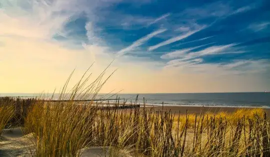 Nad jakim morzem leży Holandia? Poznaj kluczowe fakty o Morzu Północnym