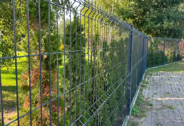 Co posadzić przy ogrodzeniu z siatki, aby zyskać piękny i prywatny ogród