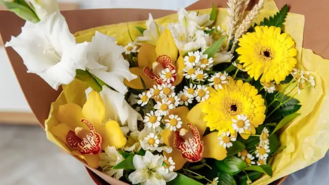 Żółte kwiaty: znaczenie, symbolika i jak ich nie pomylić