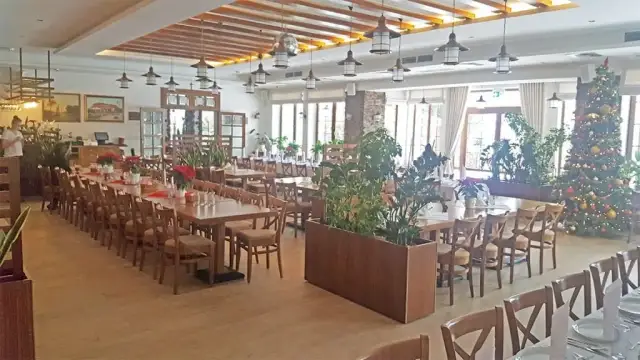 Gdzie zjeść w Serocku? Najlepsze restauracje i smaki, które musisz spróbować