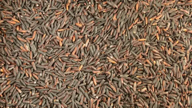 Gdzie kupić czarny ryż w Polsce? Sprawdź najlepsze miejsca i ceny