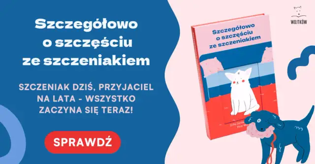 Jak wprowadzić szczeniaka do domu z dorosłym psem? Poradnik