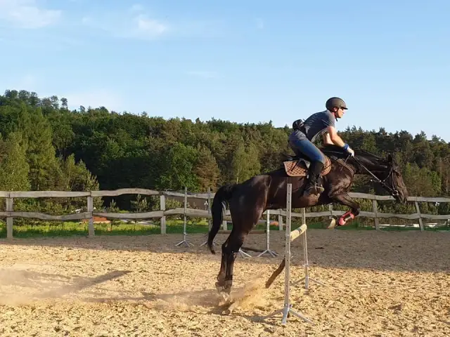 Gdzie można jeździć konno w Polsce? Odkryj najlepsze stajnie i trasy