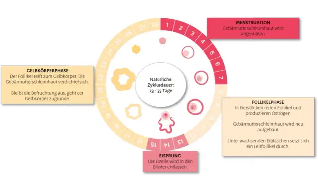 Die häufigsten periode symptome: Was Sie erwarten sollten und wie Sie helfen können
