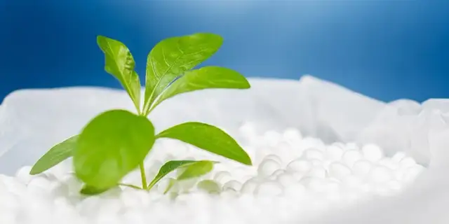 Czy styropian wrzucamy do plastiku? Sprawdź, aby nie marnować!