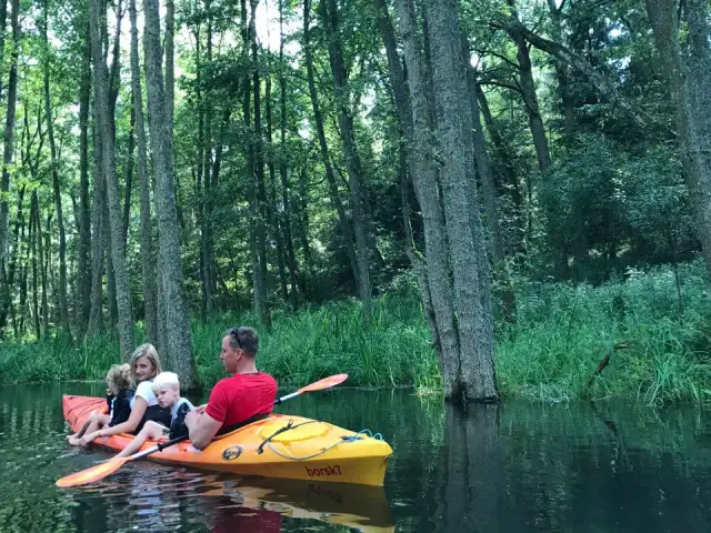 Spływ kajakowy Borsk: Wda dla każdego? Planuj, płyń, odkrywaj!