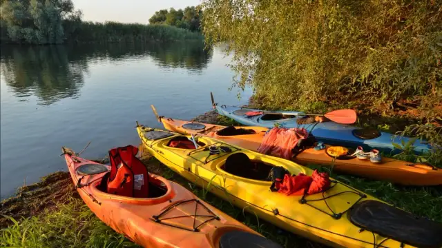 Kajak i alkohol: Jaki mandat? Czy stracisz prawo jazdy?