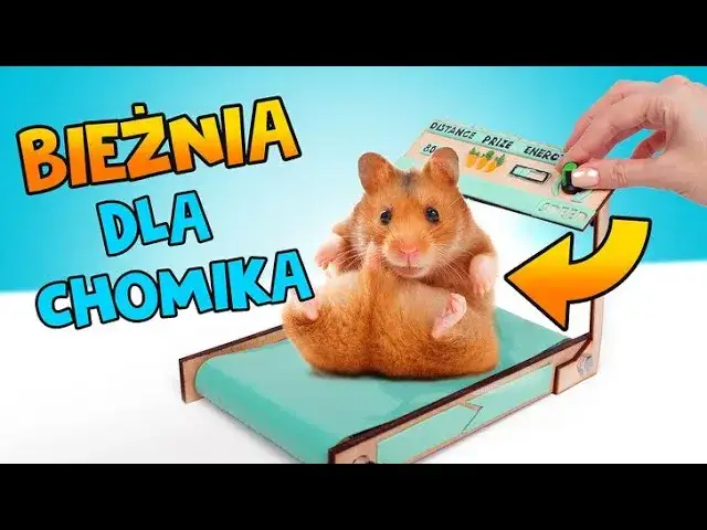 Jak zrobic bieżnie w domu - proste kroki i niezbędne materiały