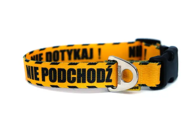 Obroża dla niewidomego psa – zapewnij bezpieczeństwo swojemu pupilowi