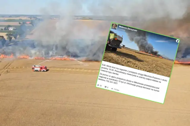 Pożar zboża na pniu – co to znaczy i jak uniknąć tragedii?