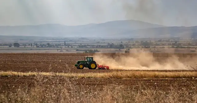 Grunty pozostałe: Jak ich klasyfikacja wpływa na Twój podatek?