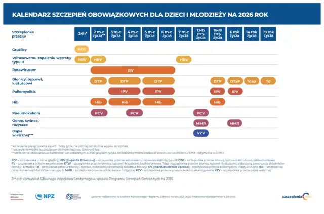 Szczepienie szczeniaka: Pełny kosztorys i kalendarz. Bez niespodzianek