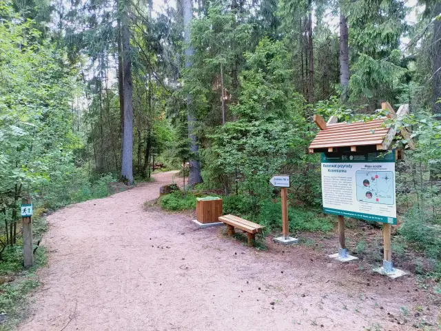 Puszcza Knyszyńska: Odkryj atrakcje i zaplanuj idealną podróż