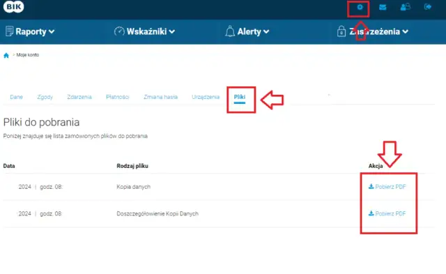 Raport BIK: Płatny czy darmowy? Co musisz wiedzieć przed kredytem?