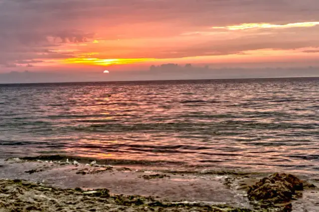 Jak dojechać z Warszawy do Krynicy Morskiej - najlepsze opcje i ceny