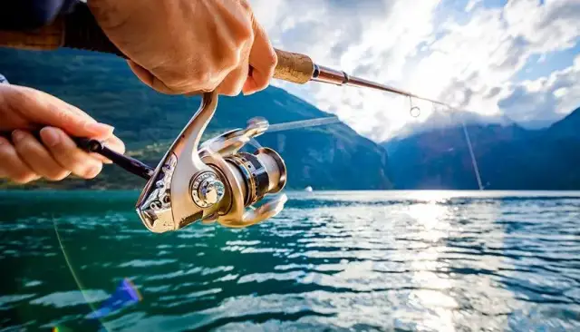 Czy można łowić na spinning w styczniu? Sprawdź przepisy i techniki