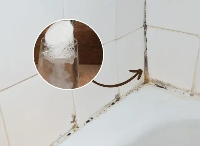 Jak usunąć pleśń z fug domowymi sposobami: 7 sprawdzonych metod na czystość