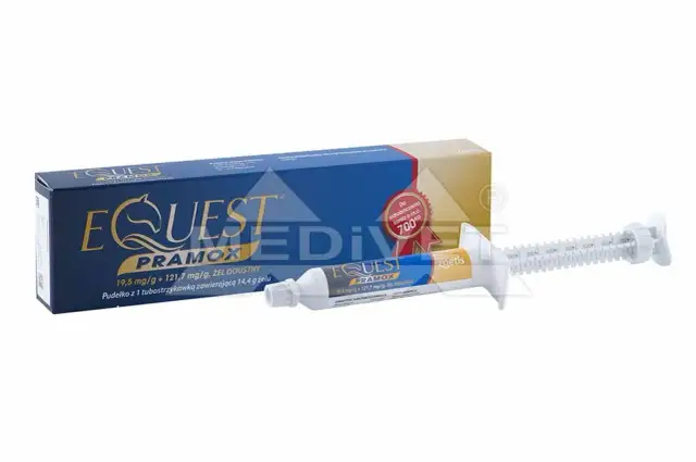 Ile kosztuje odrobaczanie konia i co warto wiedzieć przed zabiegiem