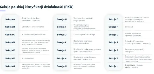Ile kodów PKD można wpisać do KRS? Unikaj błędów przy rejestracji firmy