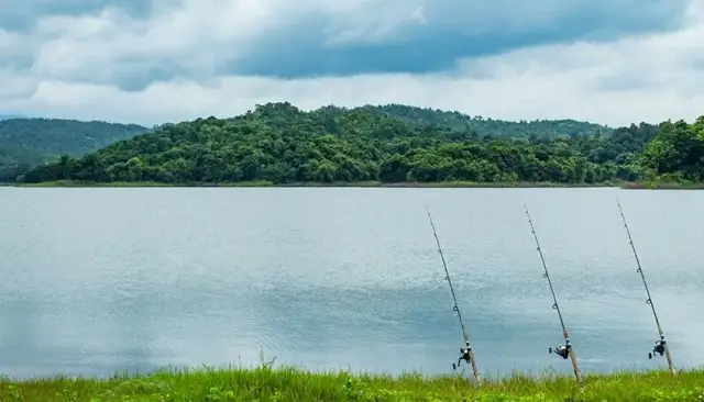 Jak zrobić wędkę na grunt - proste kroki i najczęstsze błędy