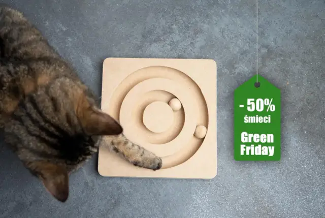 Jak zrobić zabawki dla kota w domu: 7 prostych pomysłów na DIY