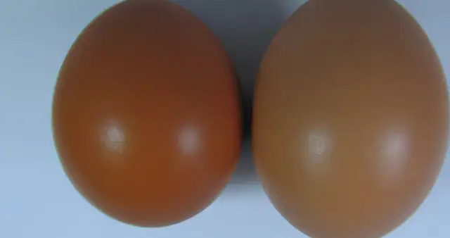 Kaloryczność dwóch jajek: poznaj dokładną wartość dla każdej potrawy