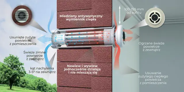 Skąd się bierze wilgoć na oknach? Przyczyny i skutki tego zjawiska