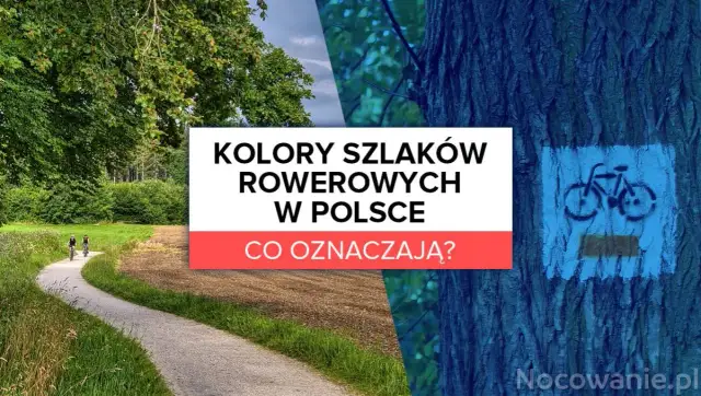 Co oznaczają kolory szlaków rowerowych i jak wpływają na bezpieczeństwo?