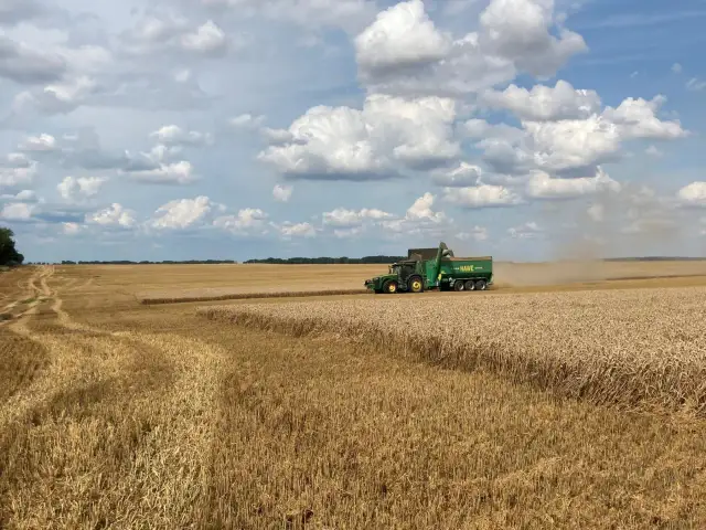 Ile mocznika na ściernisko? Poznaj optymalne dawki nawożenia