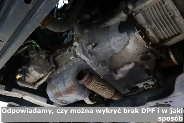 Gdzie jest DPF? Znajdź filtr, zrozum problemy i uniknij kar!