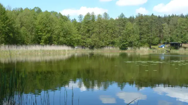 Jezioro Tuczno Kujawsko Pomorskie – raj dla miłośników przyrody
