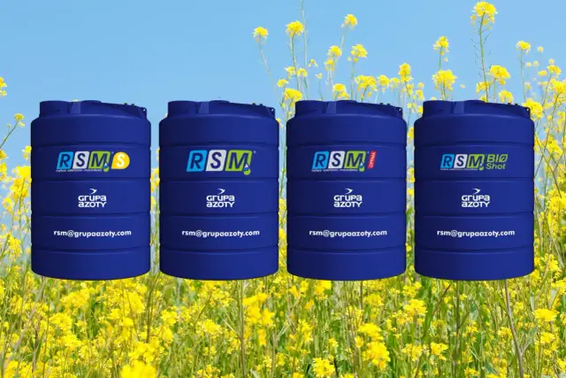 Jakie nawozy stosować pod pszenżyto, by uzyskać wysokie plony?