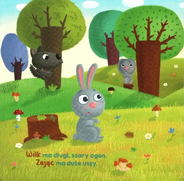 Kto się kryje w lesie - odkryj magiczny świat edukacyjnej książki