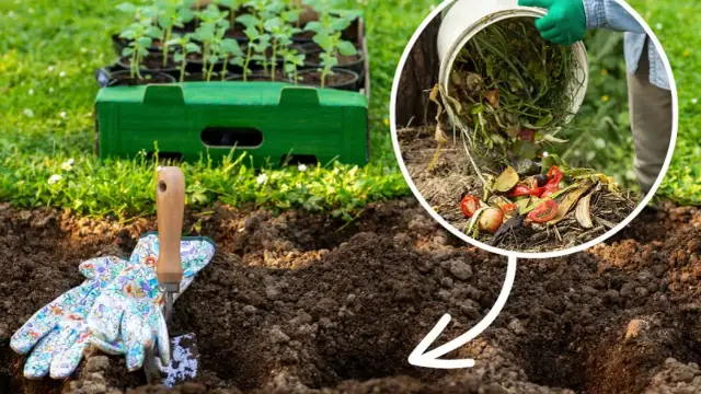 Czy liście nadają się na kompost? Sprawdź, które są najlepsze!