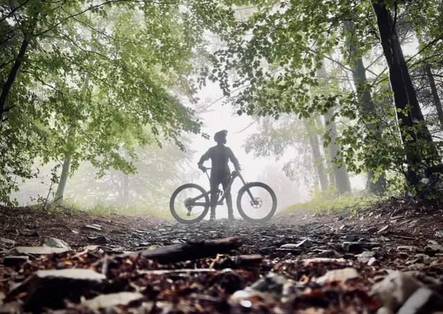 Jaki rower do jazdy po lesie i asfalcie - wybierz idealny model dla siebie