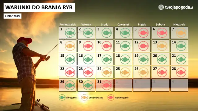 Pogoda na ryby: Jak czytać prognozy i łowić więcej?