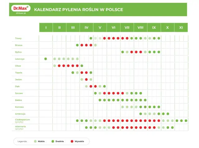 Kalendarz pylenia roślin w Polsce. Wykres pokazuje okresy pylenia traw, drzew (brzoza, leszczyna, olsza, topola, jesion, dąb) i chwastów (bylica, babka, komosa, ambrozja) oraz grzybów (Cladosporium, Alternaria) w poszczególnych miesiącach.
