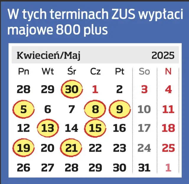 800 plus do 25 lat? Rozwiewamy mit i wyjaśniamy zasady