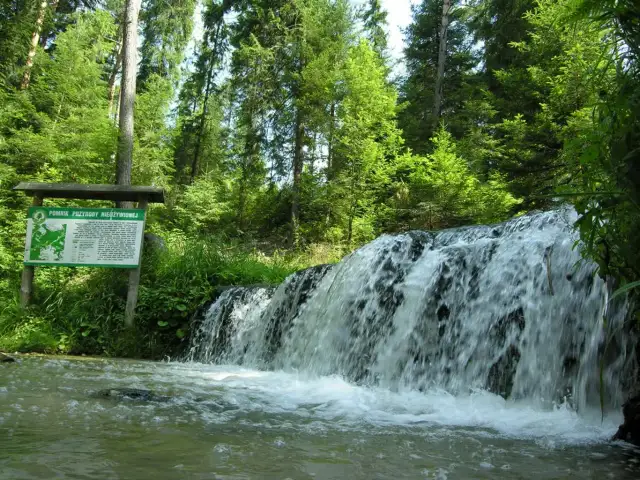 Tomaszów Lubelski: Atrakcje Roztocza Wschodniego. Co warto zobaczyć?
