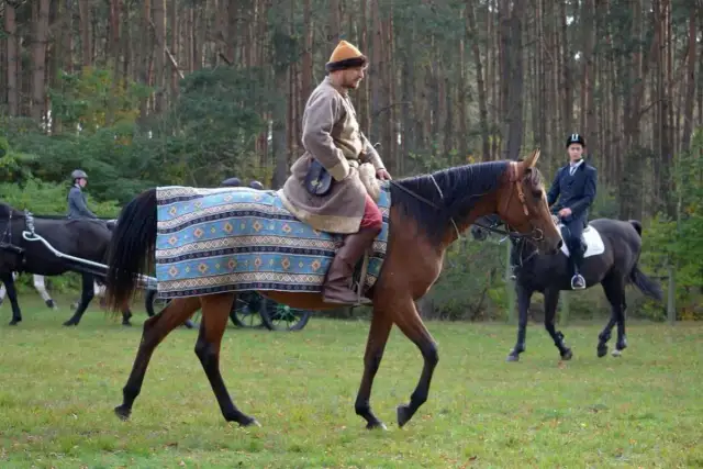 Gdzie jest technikum hodowli koni? Odkryj najlepsze lokalizacje w Polsce