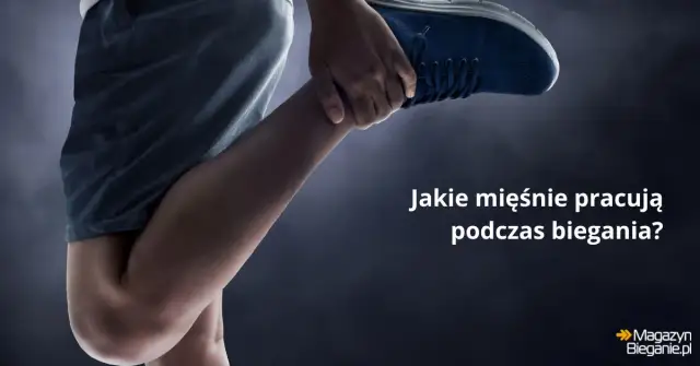 Jakie mięśnie pracują podczas biegania? Biegaj mądrzej!