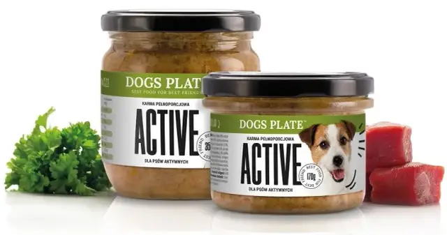 Jaka karma dla rocznego psa: uniknij błędów w wyborze jedzenia