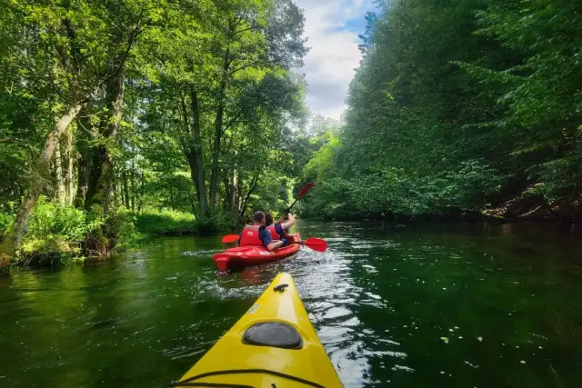 Spływy kajakowe jednodniowe Kaszuby – najlepsze trasy i ceny