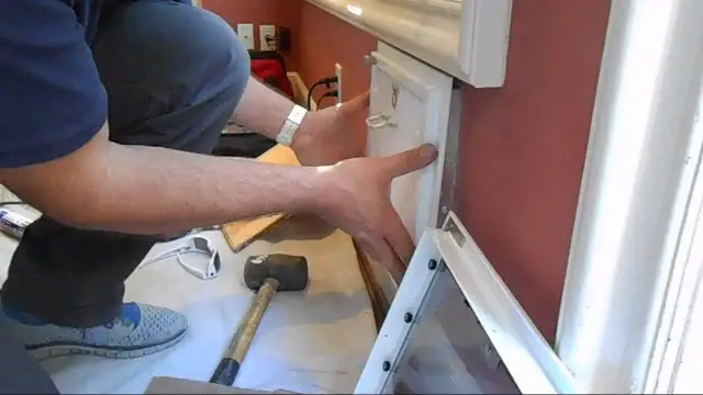 Jak samemu zrobić drzwiczki dla psa - proste kroki i porady