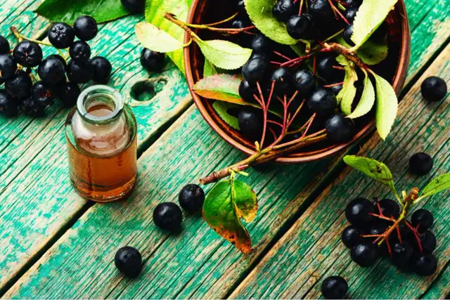 Jak zrobić sok z aronii? Poznaj sekret na cierpkość i zdrowie!