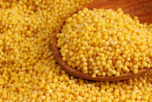 Kasza jaglana: właściwości, IG, tarczyca. Czy to superfood dla Ciebie?