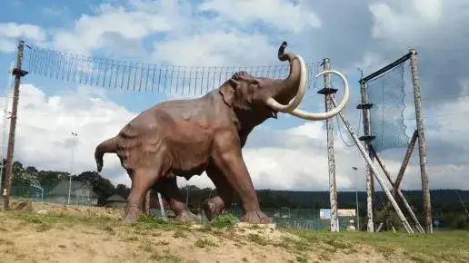 Najciekawsze atrakcje w Szczytnej, które musisz zobaczyć podczas wizyty